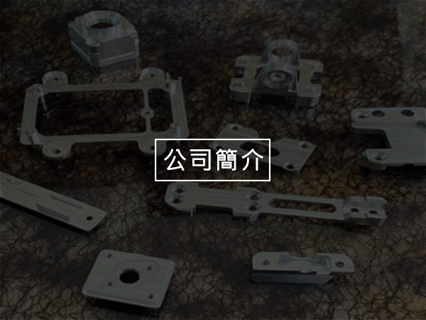 公司簡介
